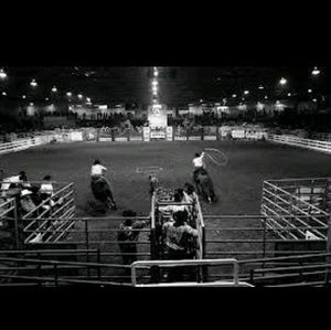 Meet your Posher, Fabian